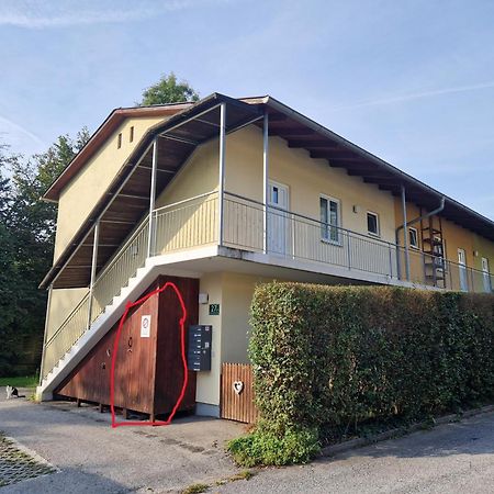 格拉茨Erholung Pur Nahe Krankenhaus & Uni Mit Parkplatz!公寓 外观 照片